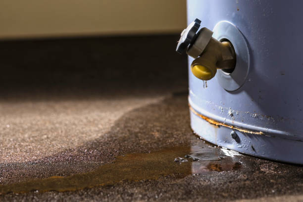 Best Residential water damage restoration  in Wathena, KS