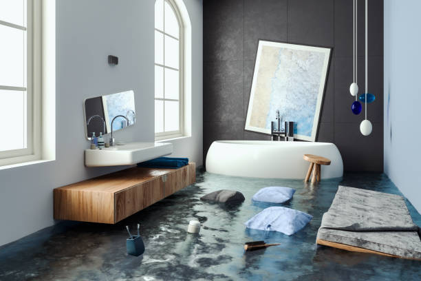 Reliable Wathena, KS Water damage restoration Solutions