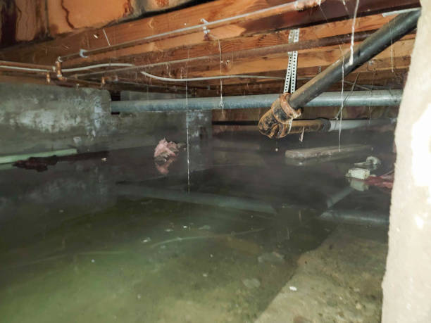 Carpet water damage restoration in Wathena, KS