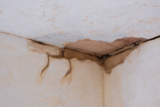 Best Fire Damage Restoration  in Wathena, KS