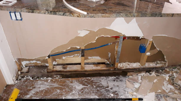 Best Professional water damage repair  in Wathena, KS