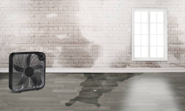 24/7 water damage repair in Wathena, KS