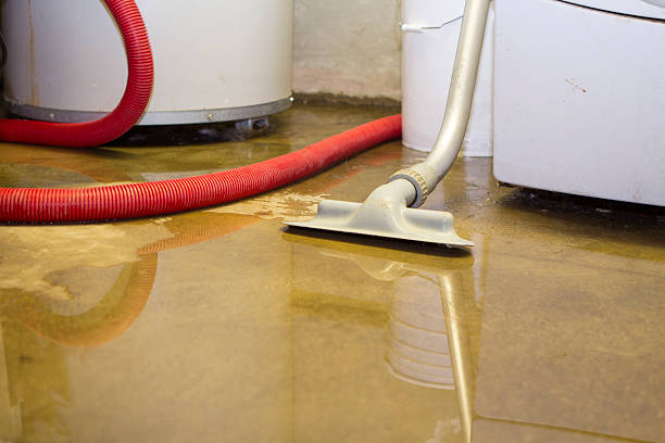 Best Ceiling water damage repair  in Wathena, KS