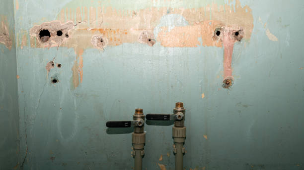Best Flooded house restoration  in Wathena, KS