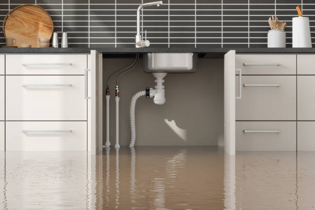 Best Sewage cleanup and water damage restoration  in Wathena, KS