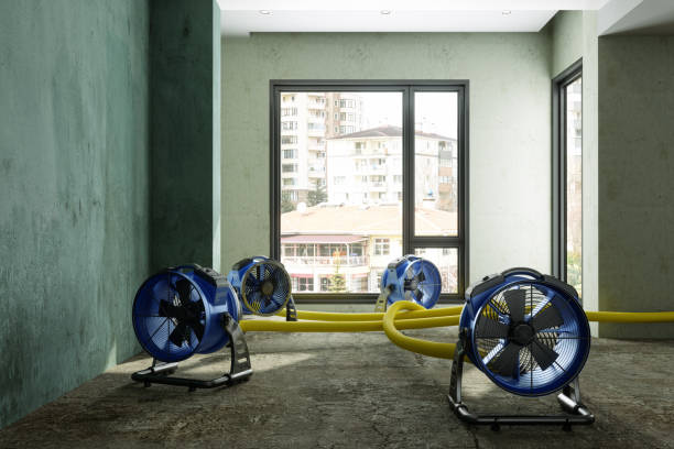 Best Flood restoration services  in Wathena, KS