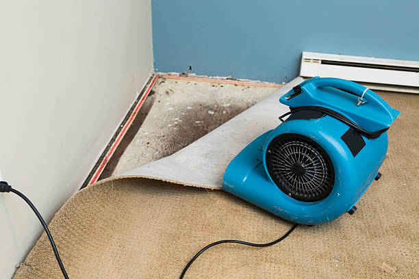 Best Carpet water damage restoration  in Wathena, KS